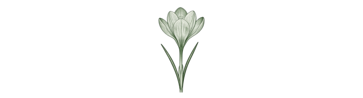 Гибридные крупноцветковые (Large Flowering)