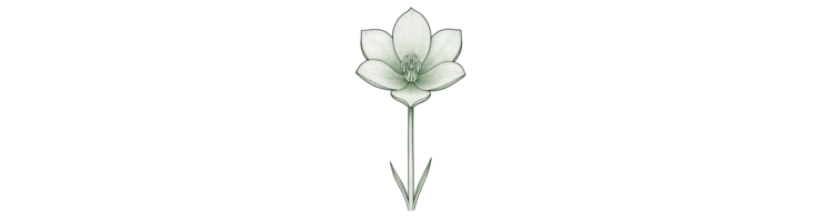 Штернбергия (Sternbergia)