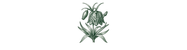 Крупноцветковый (Large Flowering)