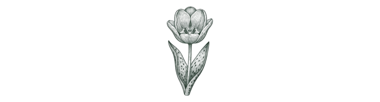 Грейга (Greigii)