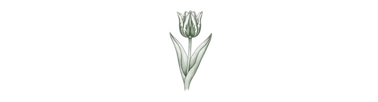 Зеленоцветковые (Viridiflora)