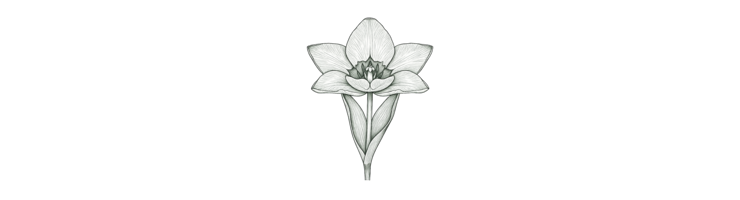 Кауфмана (Kaufmanniana)