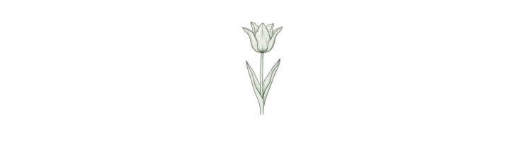 Лилиецветные (Lily Flowering)