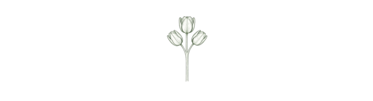 Многоцветковые (Multiflora / Multi-Flowering)