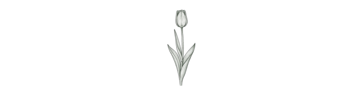 Простые поздние (Single Late)