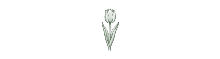 Триумф (Triumph)