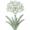 Махровые (Double)