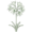 Мелкоцветковый (Small Flowering)