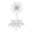 Нежная (Anemone blanda)