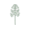 Многоцветковые (Multiflora)