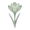 Ботанические (Species)