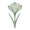 Гибридные крупноцветковые (Large Flowering)
