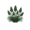 Мускари