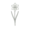 Ботанические (Botanical)