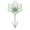 Штернбергия (Sternbergia)