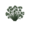 Сцилла