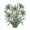 Ифейон