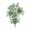 Лилия