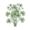 Кислица