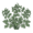 Хохлатка