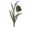 Рябчик