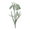 Мелкоцветковый (Small Flowering)