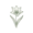 Ботанические (Species)
