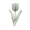 Зеленоцветковые (Viridiflora)