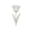 Лилиецветные (Lily Flowering)