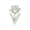 Попугайные (Parrot)