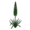 Эремурус