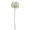 Мелкоцветковые (Small Flowering Allium)