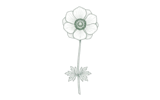 Корончатая (Anemone coronaria)