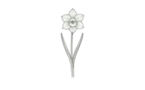 Ботанические (Botanical)