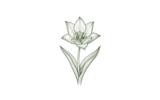 Ботанические (Species)