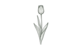 Простые поздние (Single Late)