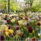 Комбинация Wild Garden 20260695
